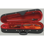 Warvick Rockcase RC10030B